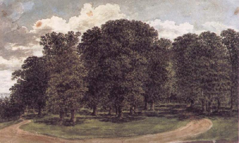 John glover The copse oil painting image